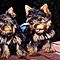 Affectionate-yorkie-puppies-ready-now